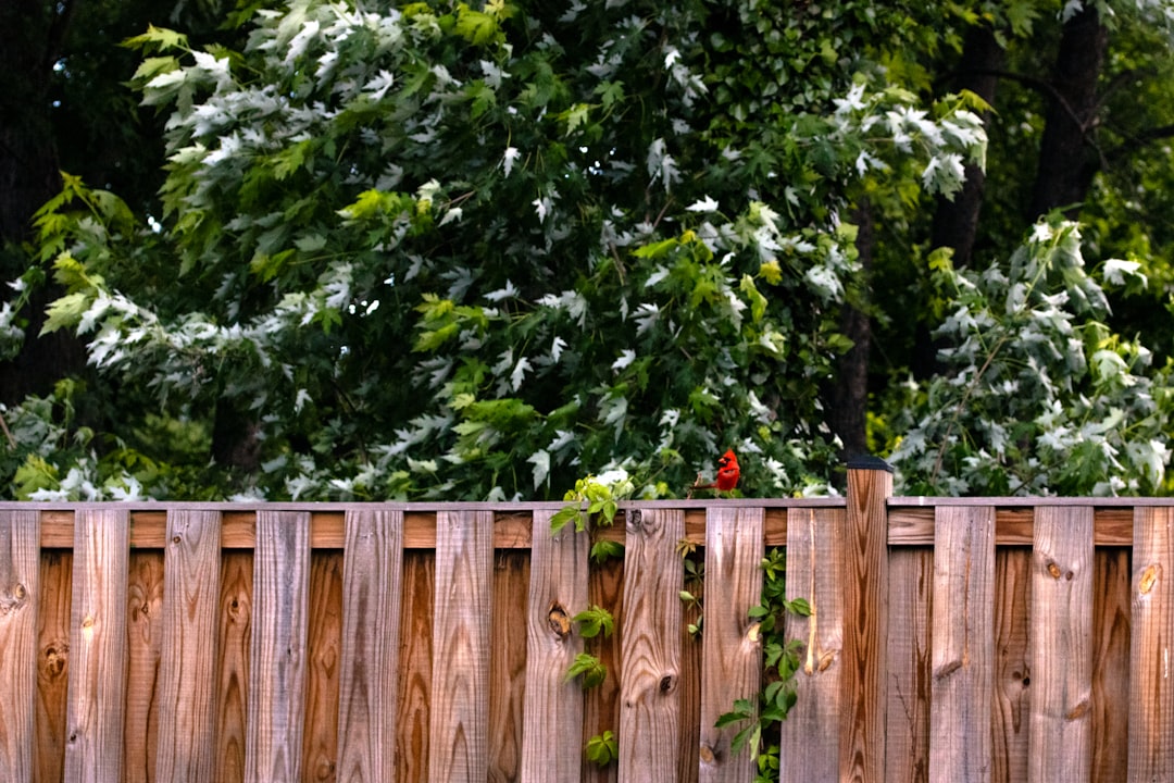 Fence repair in Edmond, OK